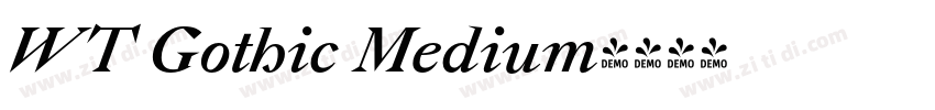 WT Gothic Medium字体转换